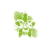 Orchid House Surgery